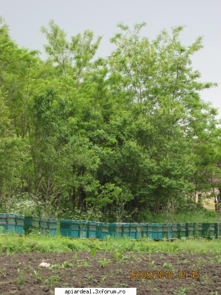 Orban Stefan - floare peste tot - ACESTIA SUNTEM NOI