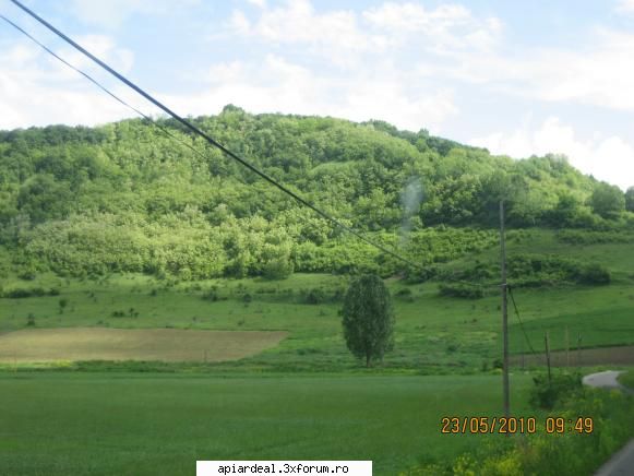 Orban Stefan - dupa discutiile avute salcimul este deschis cca - ACESTIA SUNTEM NOI