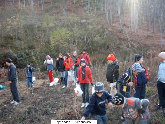 Plantari pentru URMASI - prietene, la gorj se planteaza...daca se - ARBORI MELIFERI