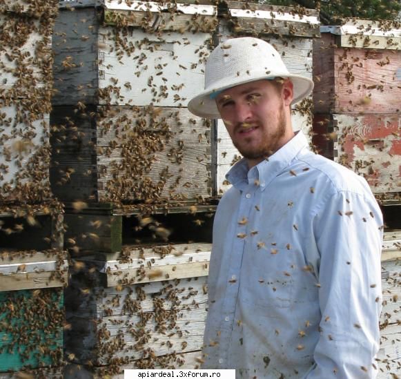Polenizare profesionista - Fara albine ar muri omenirea de foame in 3 ani de - PRODUSELE STUPULUI