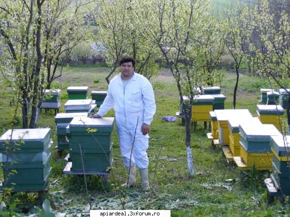 Poze Lulachy - lulachy - POZE SI VIDEO