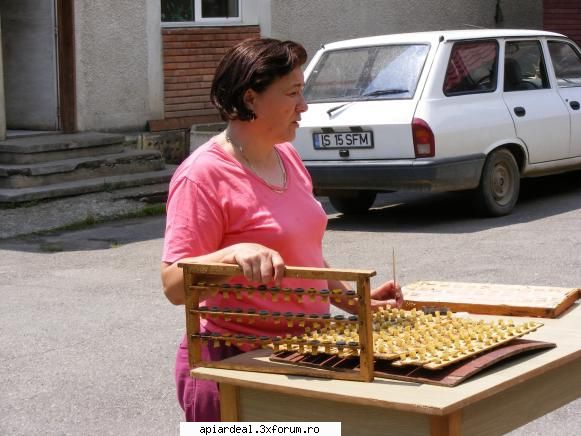 Poze Lulachy - D-na Lia, Directorul Statiunii o persoana mai - POZE SI VIDEO
