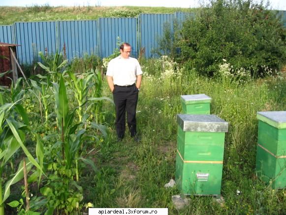Pozele mele - in pastoral la Tei..... la Bucuresti a fost a mai - POZE SI VIDEO