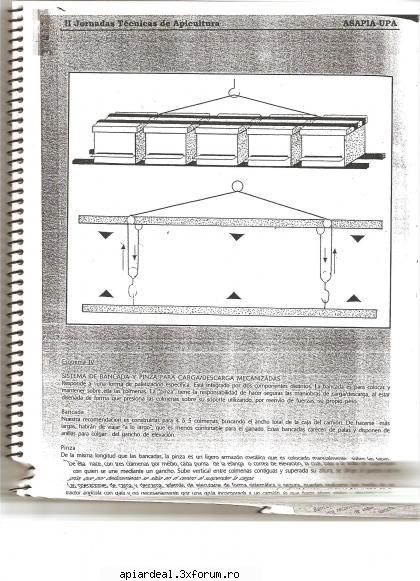 o alta  forma  de  paletizare practica  in apicultura