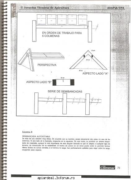 Practica in apicultura industriala - Util pt pastoral.Avantaje forma rinduri in - INTRETINEREA ALBINELOR