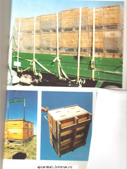 Practica in apicultura industriala - Altii fac transportul pe zi si urdinisurile - INTRETINEREA ALBINELOR