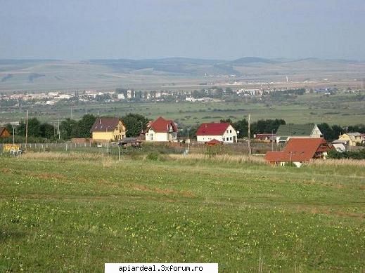 Prietenii palpabile - Sa inteleg ca nu avem stupari pe malul Dunari sau - AICI PUTETI POSTA ORICE...