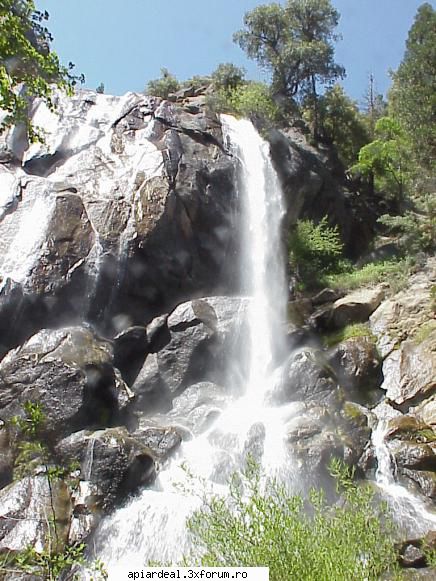 Radu Andrei Nastase - Acolo am oprit si la Grizzly Falls sa ne racorim - ACESTIA SUNTEM NOI