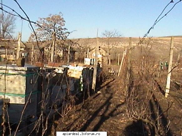 Rame - Cu un fierastrau pendular montezi cam pe zi. Cu 3 - RAME SI FAGURI