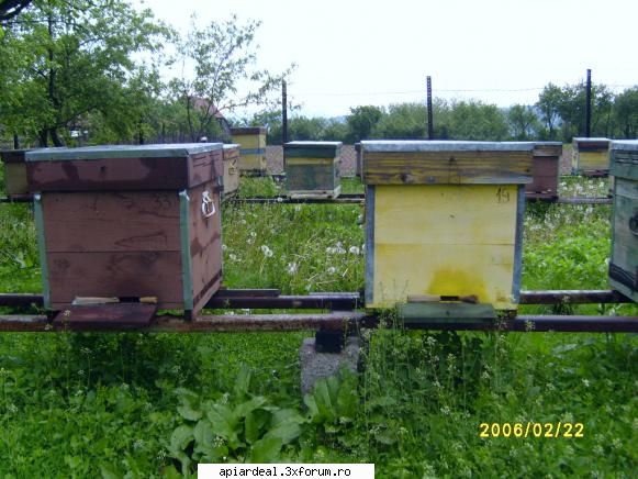 Rame - scuze pentru un raspuns atat de intarziat,dar - RAME SI FAGURI
