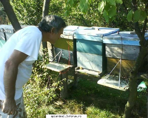Recoltarea veninului de la A la Z - salut Cristi , care din cele trei metode este cea - COLECTOARE VENIN