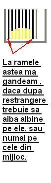 Restrangere cuib-detaliu - orbanstefan64 _)_ - SUNT INCEPATOR