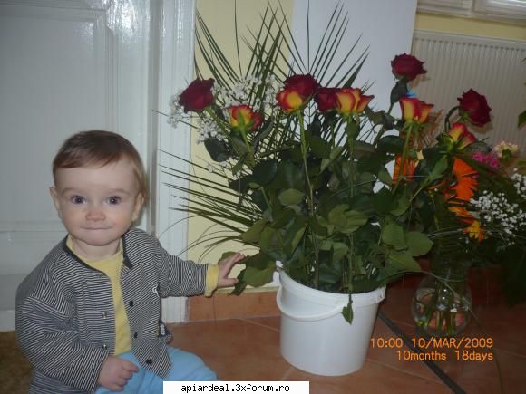 Rugaminte - Eiii.. se intelege ca apicultorii sunt oameni - AICI PUTETI POSTA ORICE...