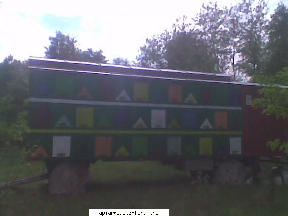 S1 Horea SM - Acelasi proprietar Podina vasile din Arinis MM - STUPARIT PASTORAL