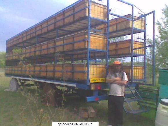 S1 Horea SM - Si proprietarul - STUPARIT PASTORAL