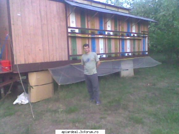 S1 Horea SM - Pavilionul Luca Neculae - STUPARIT PASTORAL