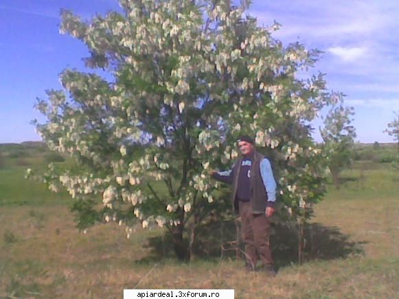 S1 Horea SM - Domnul Mihai verifica floarea :D - STUPARIT PASTORAL