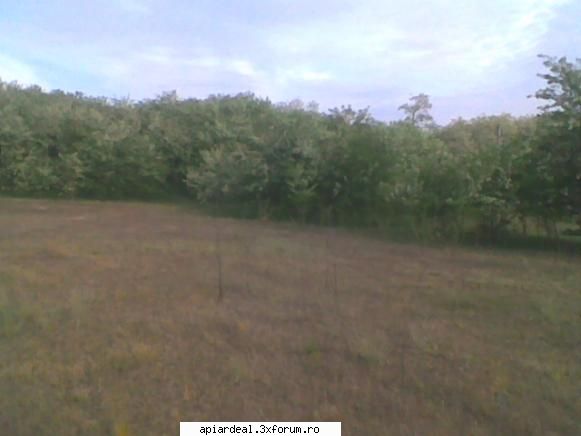 S1 Horea SM - Un tap se vede mai rau - STUPARIT PASTORAL