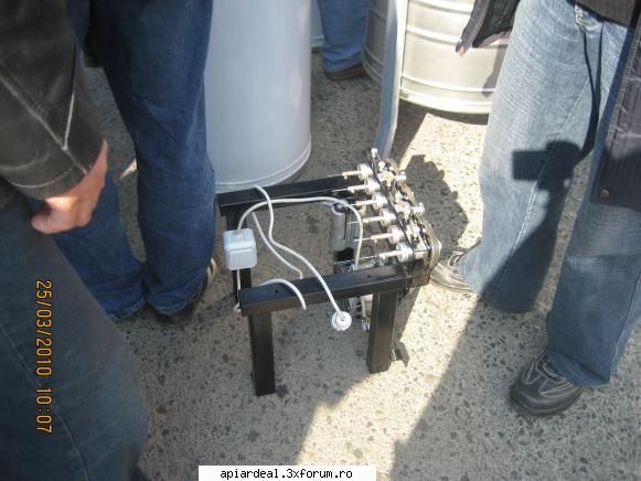 Sărbătoarea mierii-Blaj 2010 - orbanstefan64 - INTALNIRI