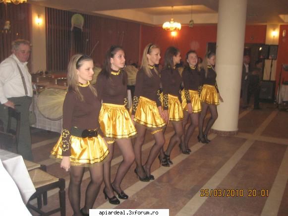 Sărbătoarea mierii-Blaj 2010 - joi seara un program artistic minunat - INTALNIRI