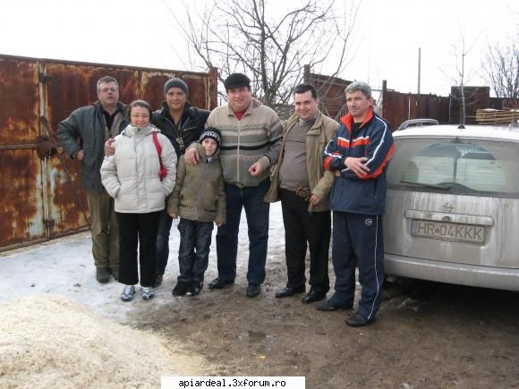Stupi noii la 60 lei - Si Batrinul a primit foarte multe plante si - VANZARI