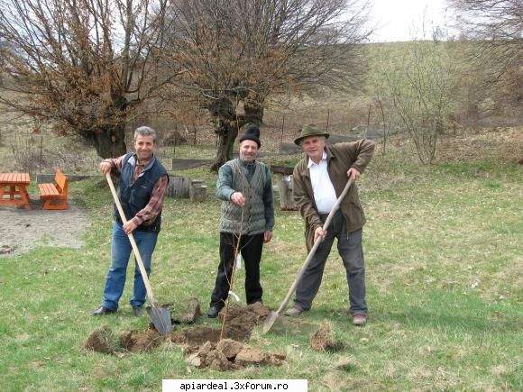 Stupi noii la 60 lei - Taxa de urgenta a fost onorata - VANZARI