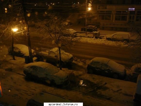 Stupina mea din poliuretan. - Braila, 6 martie,2010. Iarna si-a aratat ultimii - POZE SI VIDEO