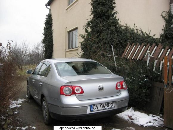 Targ Apicol �SARBATOAREA MIERII� � 2009 - Intradevar dar nu de ASI ci de septari. La - INTRETINEREA ALBINELOR