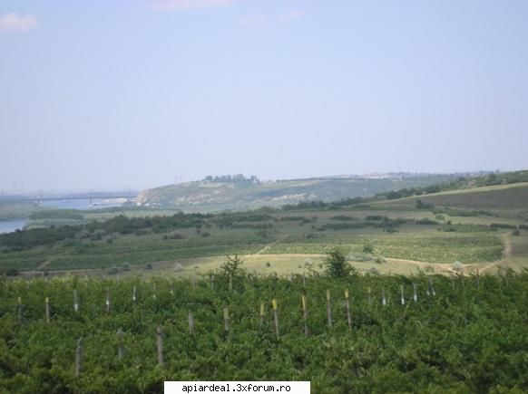 Targul Apicol - Editia I - Slobozia 2010 - Caci DUNAREA e mama noastra care ne aduna si ne - INTALNIRI