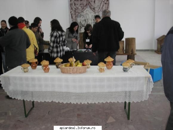 Targul Apicol - Editia I - Slobozia 2010 - Am fost si eu. Ca idee,drum excelent,vreme - INTALNIRI