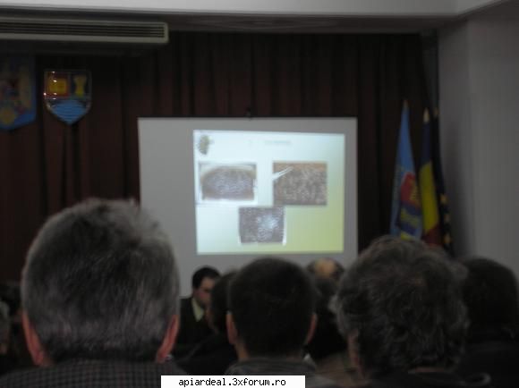 Targul Apicol - Editia I - Slobozia 2010 - Prezentare grafica de secol 21 - INTALNIRI