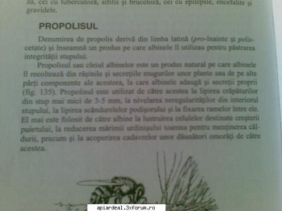 Texte -mostenire de la V. Harnaj - Despre propolis o sa postez pe moment cateva poze - INTRETINEREA ALBINELOR