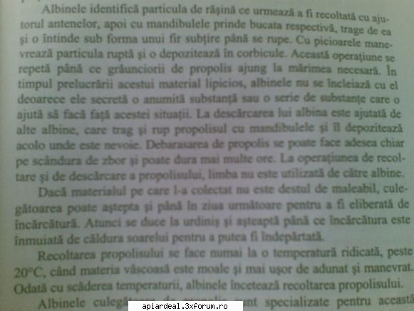Texte -mostenire de la V. Harnaj - Imi cer scuze pentru calitatea slaba dar e vorba - INTRETINEREA ALBINELOR