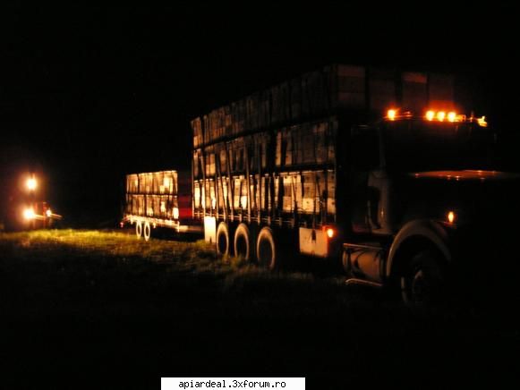 Transportoare de stupi. - AndreiRN - POZE SI VIDEO