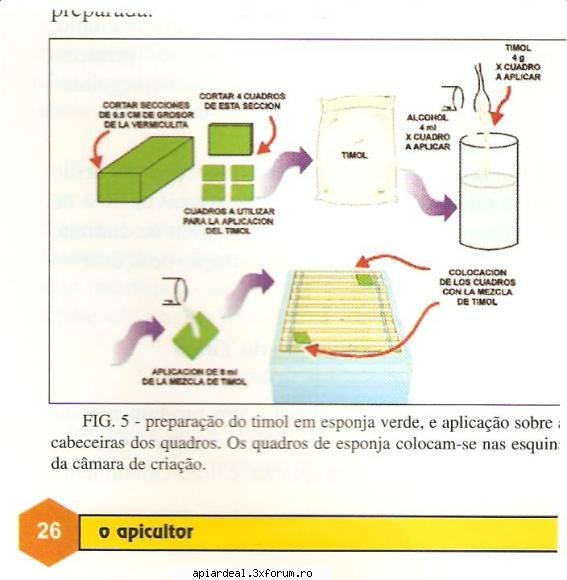 Tratament camfor sau timol - Tratament timol - TRATAMENTE