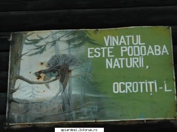 Un forum interesant de VANATOARE - Fara comentarii - Hobby-uri