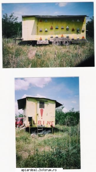 Vand Rulota apicol - Vand Rulota Apicol,cu 36 familii+cuseta pe 2 - VANZARI
