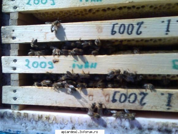 Vand matci selectionate - Apropo de iernatul matcilor de rezerva astazi - VANZARI