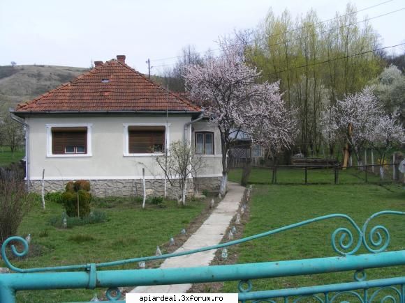 Vand pavilion apicol - Buna ziua !Ma intereseaza pavilionul dar la - VANZARI
