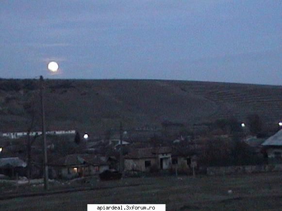 Zbor de curatire - Rasarit de luna, dupa un control sumar la albine - INTRETINEREA ALBINELOR