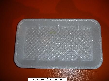 astazi in stupina mea. - hranitoarele din plastic se smirgheluiesc pe - INTRETINEREA ALBINELOR