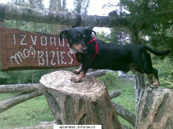 buna - buna ziua pentru alte relatii care nu se pot - AICI PUTETI POSTA ORICE...