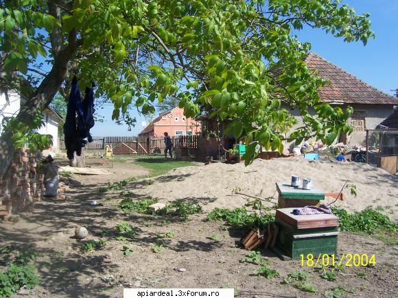 buna - casa unde stau acu an barateaz - AICI PUTETI POSTA ORICE...