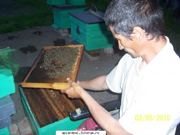 buna - baga mare dumitre...intoxica-ne cu poze sa sse - AICI PUTETI POSTA ORICE...