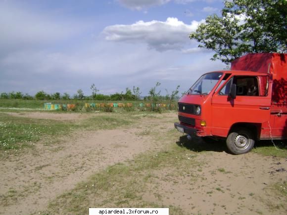 de vanzare - vand masina vw transporter pt carat albine pret - VANZARI