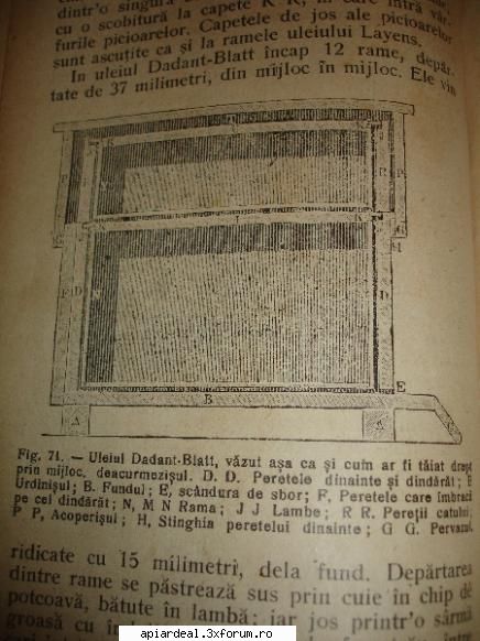 din istoria revistelor apicole - sectiune prin stupul dadant - REVISTE & CARTI