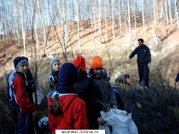 doar o fapta sa-ti mai spun - domnul profesor mai mult vorbeste - ARBORI MELIFERI