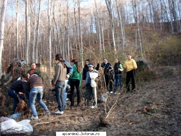 doar o fapta sa-ti mai spun - un sfat intotdeauna este de tinut la indemana - ARBORI MELIFERI