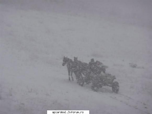 fenomene meteo - Zapada 13 martie - AICI PUTETI POSTA ORICE...