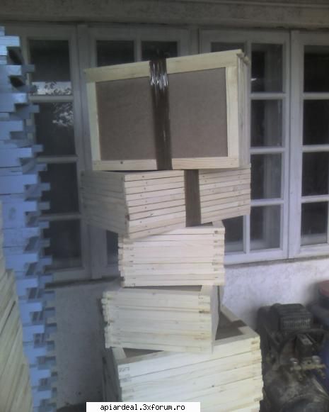 firma de producere componente stupi - mariuscionoiu - FIRME